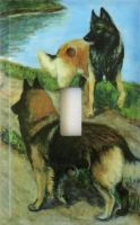 Belgian Terv 4B SLSP-P